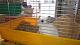     
: DSC_0140.JPG
: 541
:	3.03 
ID:	31429